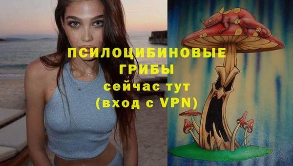 ГАЛЛЮЦИНОГЕННЫЕ ГРИБЫ Домодедово