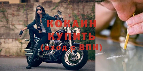 гидра Магас